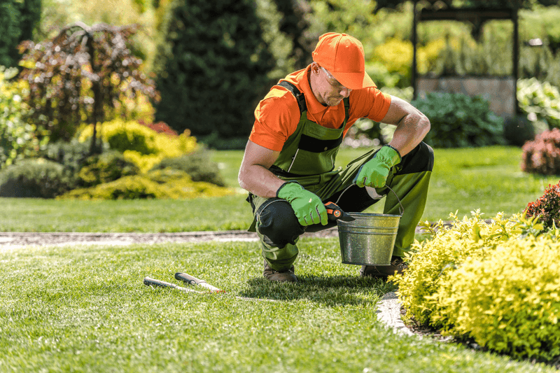 Garden Cleaning Services