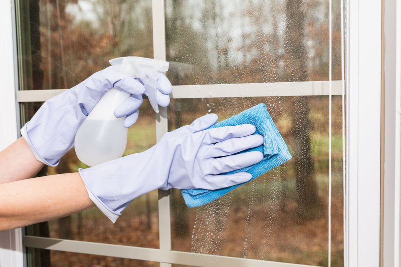 Window Cleaning Services